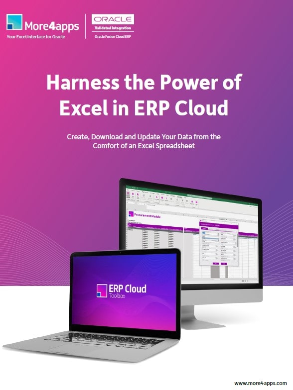 More4apps ERP Cloud Toolbox